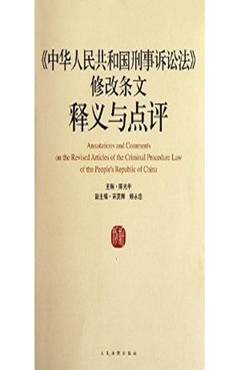 《中华人民共和国刑事诉讼法》修改条文释义与点评