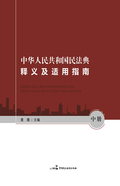 中华人民共和国民法典释义及适用指南（中）