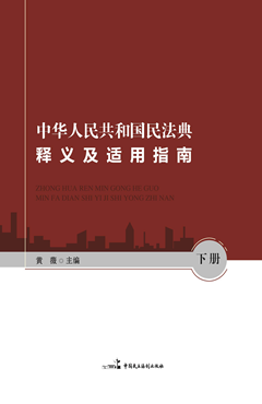 中华人民共和国民法典释义及适用指南（下）